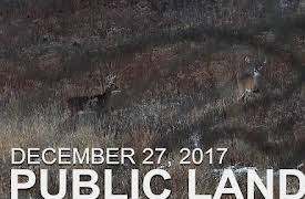 The Hunting Public: December 27 - Public Land: A New Buck Nest