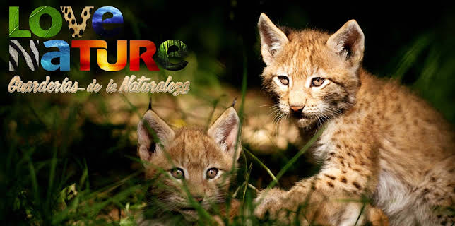 Guarderías de la naturelaza