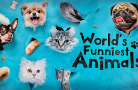 World's Funniest Animals: Episode 2