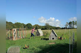 Beyond River Cottage Season 1: Episode 9