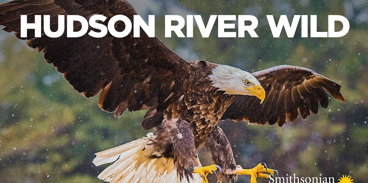 Hudson River Wild