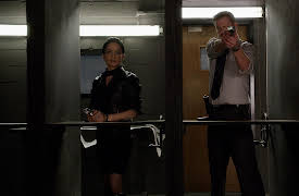 The Good Wife, Season 1: Infamy