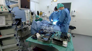 19:00: Veterinärerna | TV4 Fakta | 9/3 2025