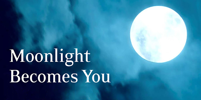 Moonlight Becomes You (1998)