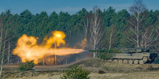 16:40: Das geheime Leben der Rothirsche | Arte | 1/10 2026