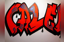 My Big Family Renovation Season 1: Attic Transformation