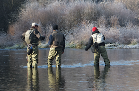 Fiskekonger: Episode 8