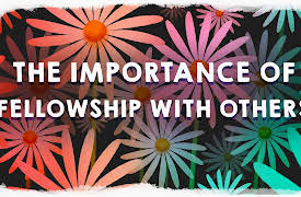 Night Owls & Early Birds: Season 1: Seed - We Need Fellowship