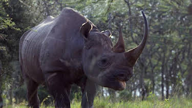 3:00 PM: The Zoo: San Diego (S1) | Discovery Channel | 9/17 2026