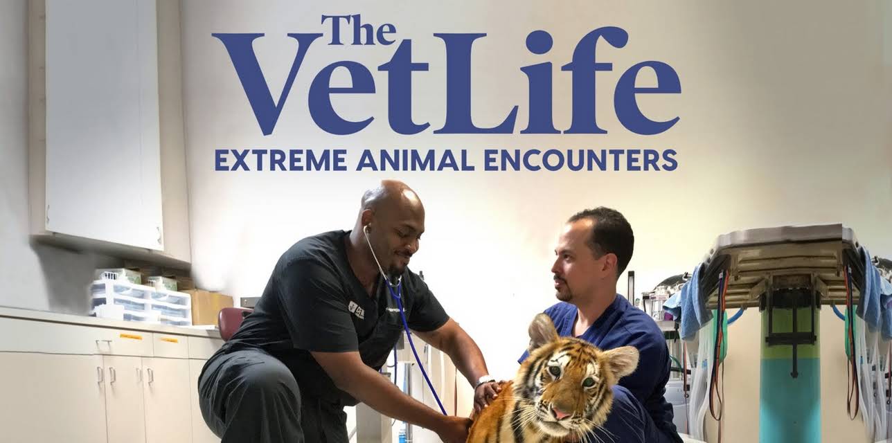 The Vet Life: Extreme Animal Encounters