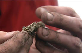 Bonderøven: Episode 13