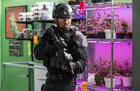 S.W.A.T.: 9. Blindspots