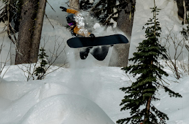 Natural Selection Tour Duels - 2024: 2024 - Katayama vs Bergrem