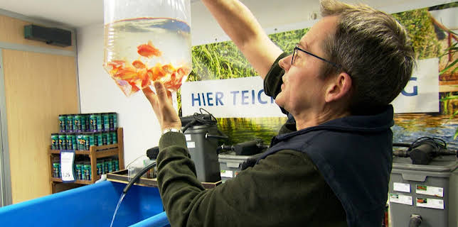 11:30: Die Nordreportage | Radio Bremen | 3/24 2026