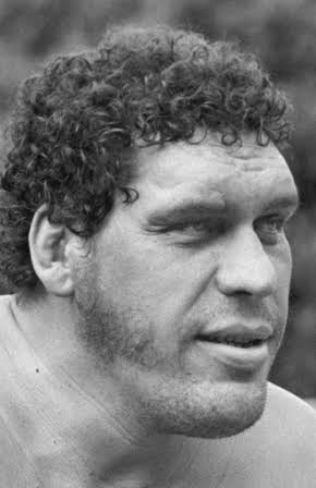 Andre the Giant  as Fezzik