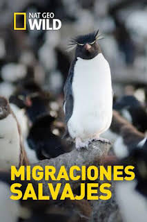06:00: Migraciones salvajes: El desafío | Nat Geo Wild | 4/2 2026
