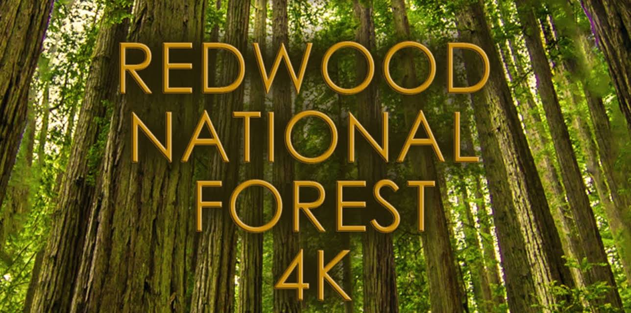 Redwood (4K UHD) (2016)
