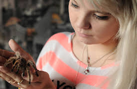 Preposterous Pets: Episode 4