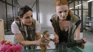 13:50: Tierärztin Dr. Mertens (S04/E03) | One | 5/18 2026
