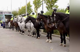Mounted Branch: New Shoes