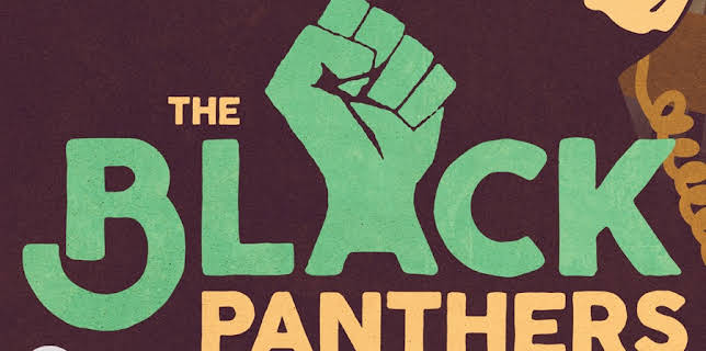 Black Panthers: Vanguard of the Revolution (2015)