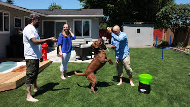 14:00: Animal Cribs (S1 E4) (S1) | Animal Planet | 5/28 2026