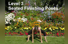 Yoga for Seniors with Jane Adams (2nd Edition): 3 Complete Practices: Level 3 Seated Finishing Poses