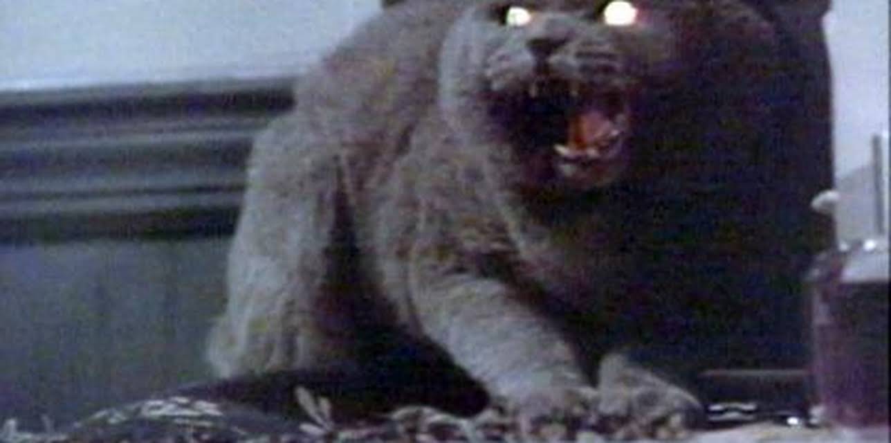 Pet Sematary (1990)