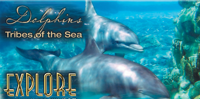 Explore The Wildlife Kingdom: Dolphins - Tribes of The Sea (2026)