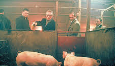 Snatch - Schweine und Diamanten