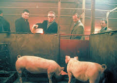 Snatch - Schweine und Diamanten