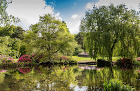 Secrets of the Royal Gardens: Palaces