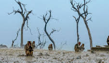 Die sozialen Netzwerke der Tiere (4/5)