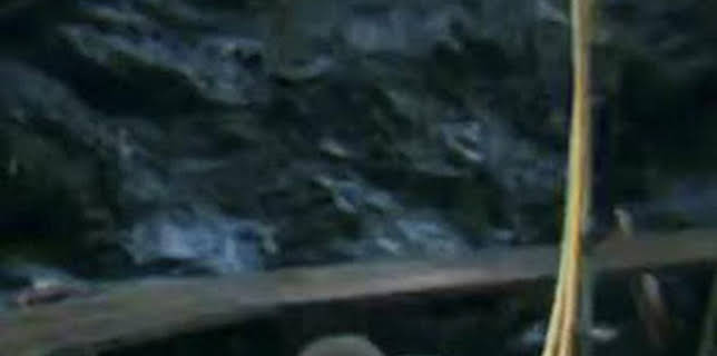 08:15: La fiebre del oro: aguas bravas: Al borde | Discovery | 2/6 2026