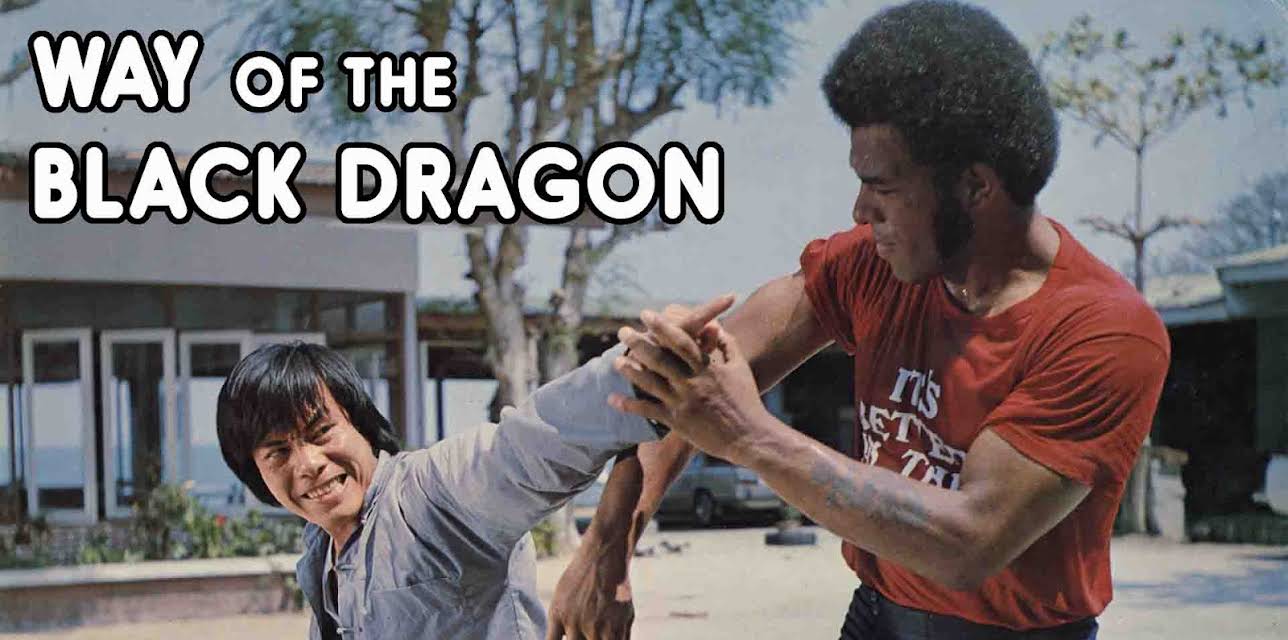 Way Of The Black Dragon (1979)