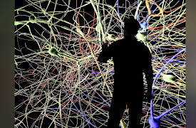 The Brain with David Eagleman: Who Will We Be?