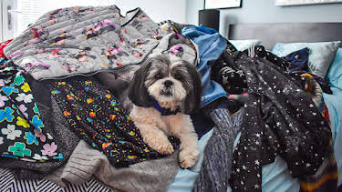 1:25 PM: Dog Squad (S1) | Cbeebies | 1/8 2026