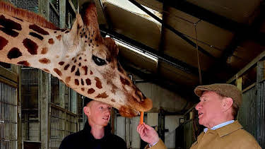2:25 AM: Great British Railway Journeys (S15) | BBC Four | 7/13 2026