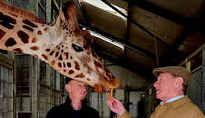 Great British Railway Journeys