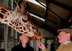 Great British Railway Journeys