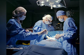 Longevity: E4. Longevity