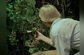 Huckleberry Finn and His Friends: Smallpox