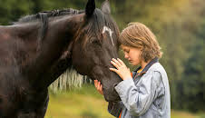 Ostwind (4)