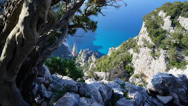 10:00 PM: Ark Of Stone: Voyage Of Sardinia | Nat Geo Wild | 7/18 2026