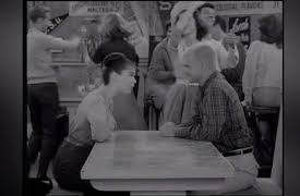 The Many Loves Of Dobie Gillis: Season One: The Flying Millicans