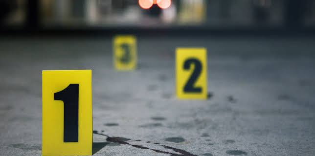 11:00 PM: American Nightmare (S1 E1) (S1) | ID | 11/10 2025