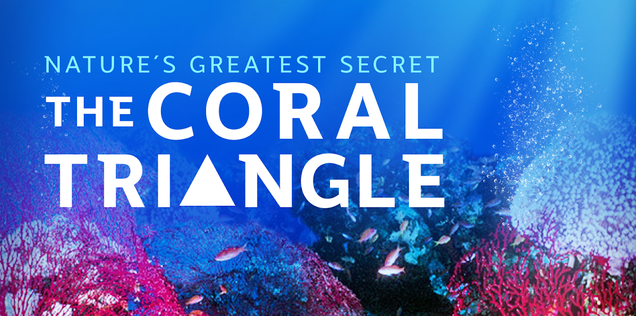 Nature's Greatest Secret - The Coral Triangle