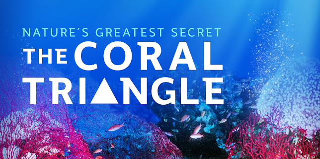 Nature's Greatest Secret - The Coral Triangle