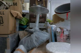 Hoarder SOS: Essex - Costumes & Antiques