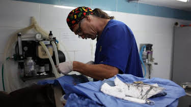10:00 AM: Dr. Jeff: Rocky Mountain Vet (S2) | Discovery Channel | 6/13 2026